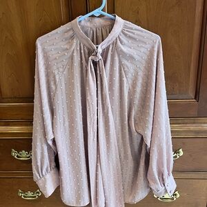 Zara Elegant Pink Blouse